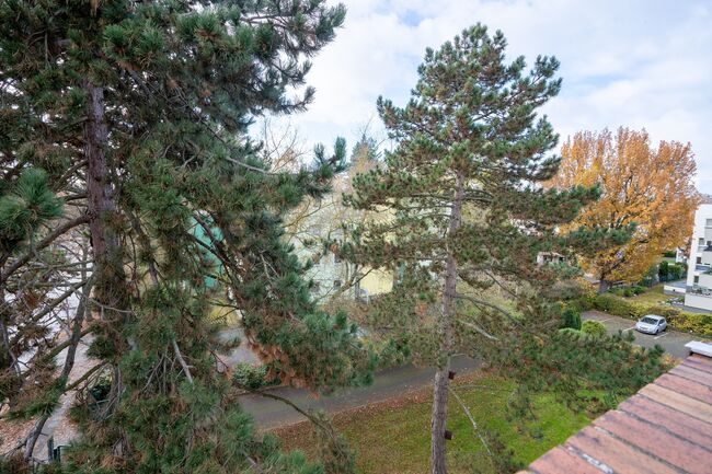Ausblick Balkon