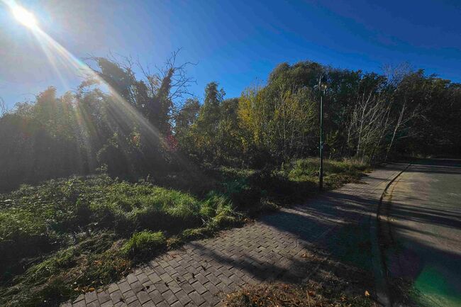 Blick vom Leutingerring