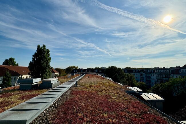 Ausblick Balkon